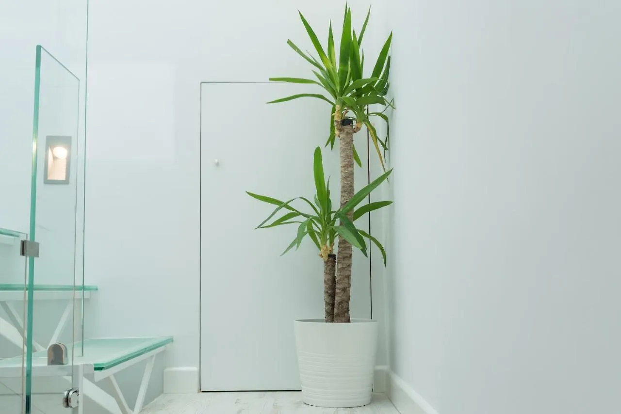 Pedregalejo, Estropada 2 Apartment Malaga Spain